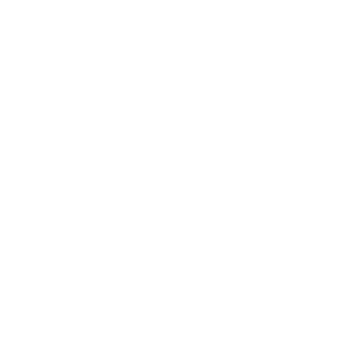 Tumblr icon